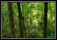 Tract 2 - Winner Lane property photo