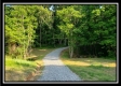 More of Tract 2 - Winner Lane