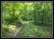 Tract 2 - Winner Lane property photo