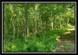 Tract 2 - Winner Lane property photo