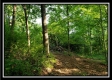 Tract 2 - Winner Lane property photo