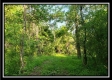 Tract 2 - Winner Lane property photo