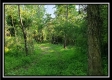 Tract 2 - Winner Lane property photo