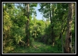 Tract 2 - Winner Lane property photo