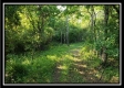 Tract 2 - Winner Lane property photo