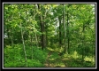 Tract 2 - Winner Lane property photo