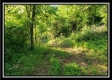 Tract 2 - Winner Lane property photo