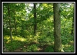 Tract 2 - Winner Lane property photo