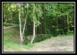 More of Tract 2 - Winner Lane