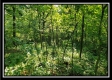 Tract 2 - Winner Lane property photo