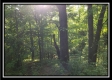 Tract 2 - Winner Lane property photo