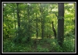 Tract 2 - Winner Lane property photo