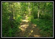 Tract 2 - Winner Lane property photo