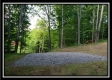 Tract 2 - Winner Lane property photo