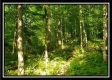 Tract 2 - Winner Lane property photo