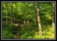 Tract 2 - Winner Lane property photo