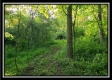Tract 2 - Winner Lane property photo