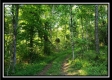 Tract 2 - Winner Lane property photo