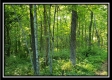 Tract 2 - Winner Lane property photo