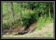 More of Tract 2 - Winner Lane