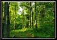 Tract 2 - Winner Lane property photo