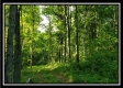 Tract 2 - Winner Lane property photo