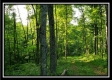 Tract 2 - Winner Lane property photo
