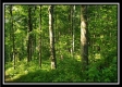 Tract 2 - Winner Lane property photo