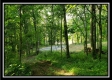 Tract 2 - Winner Lane property photo
