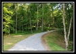 More of Tract 2 - Winner Lane