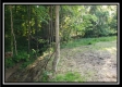 Tract 2 - Winner Lane property photo