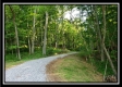 Tract 2 - Winner Lane property photo