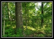 Tract 2 - Winner Lane property photo