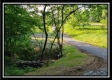 Tract 2 - Winner Lane property photo