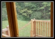 Serenity Cabin at Winner Lane property photo