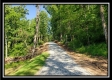 19393 Winner Lane - Winner Ln property photo