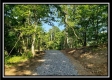 19393 Winner Lane - Winner Ln property photo