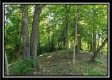 19393 Winner Lane - Winner Ln property photo