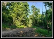 19393 Winner Lane - Winner Ln property photo