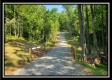 19393 Winner Lane - Winner Ln property photo
