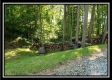 19393 Winner Lane - Winner Ln property photo