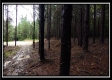 Tract 5 - New Lexington property photo