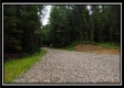 Tract 5 - New Lexington property photo