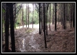 Tract 5 - New Lexington property photo