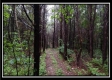 Tract 5 - New Lexington property photo
