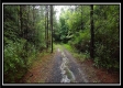 Tract 5 - New Lexington property photo
