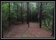 Tract 5 - New Lexington property photo