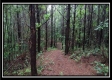 Tract 5 - New Lexington property photo