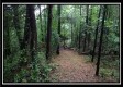 Tract 5 - New Lexington property photo