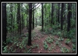 Tract 5 - New Lexington property photo